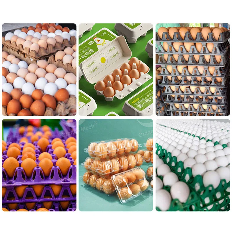 ORME Automated Chicken Egg Pack Machine Paper Pulg Egg Pack Machine Egg Pack Machine