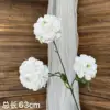 Peonia koi bianca a tre teste