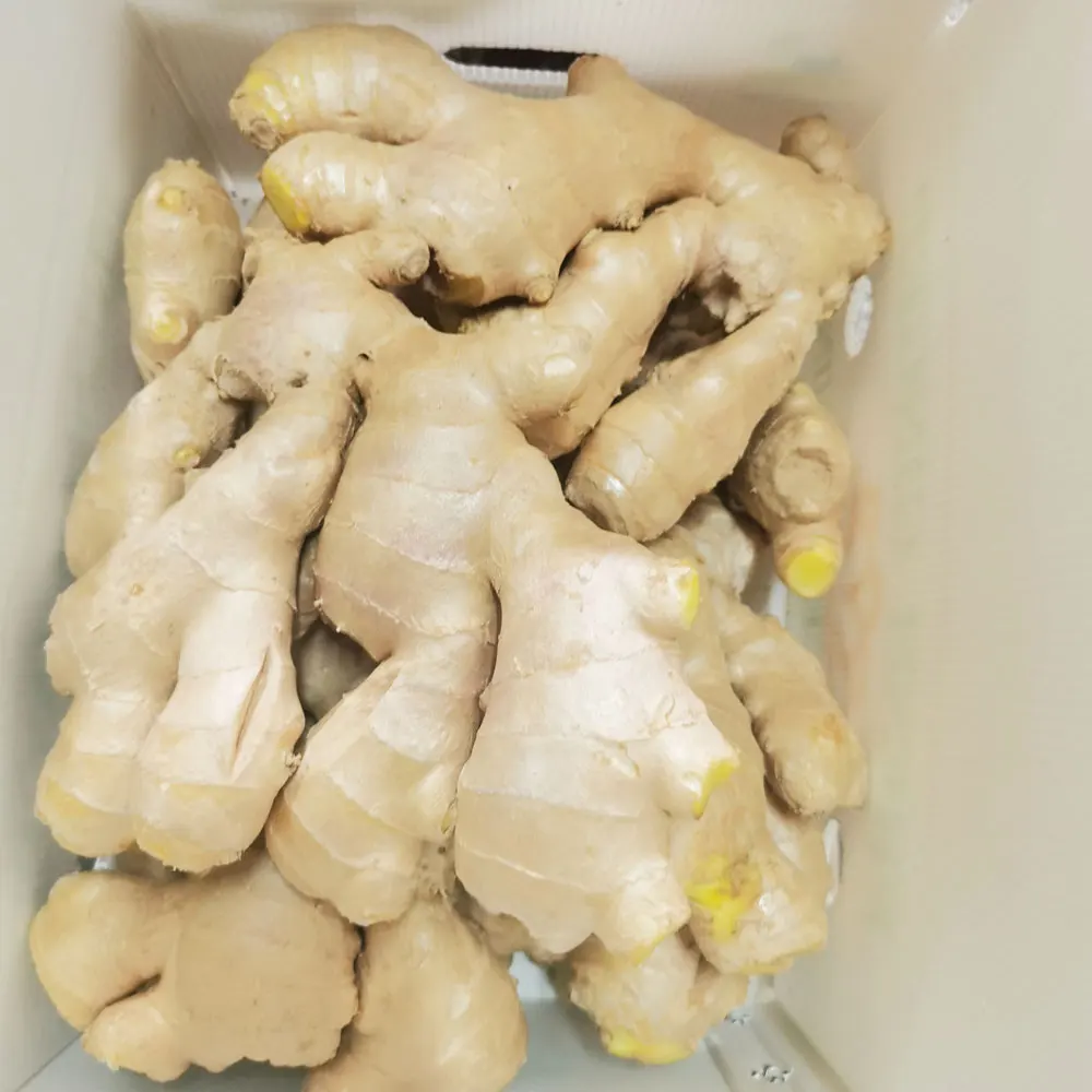 Fresh Dry Jengibre Buy Dried Ginger Buyers For Wholesale China Ginger