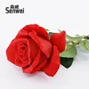 Single Crystal Rose, Red
