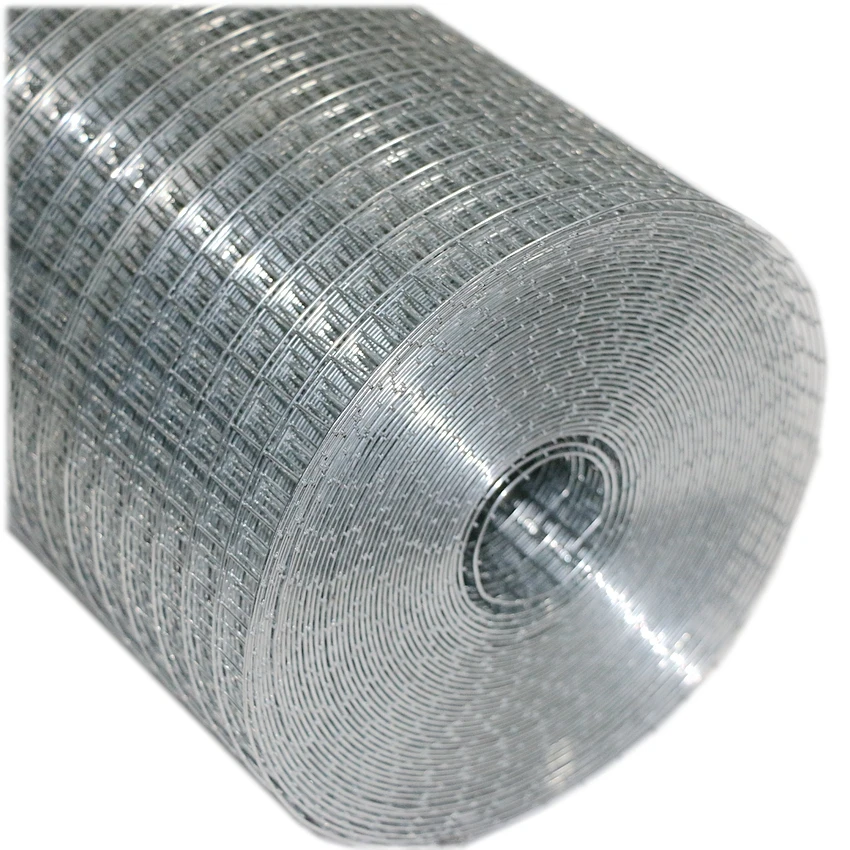 High Quality Factory Price Electric Galvanized Welded Iron Wire Mesh Roll  for Bird Cage Chicken Pens Rabbit Cages
