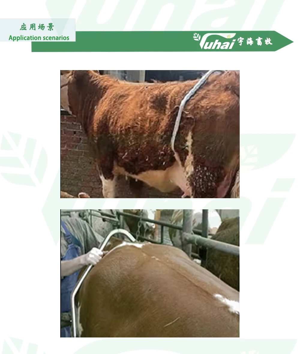 product adjustable stainless steel cow anti kicking rod stop kicking equipment for cow for home use and farm new and used condition-2