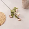 A single pink branch