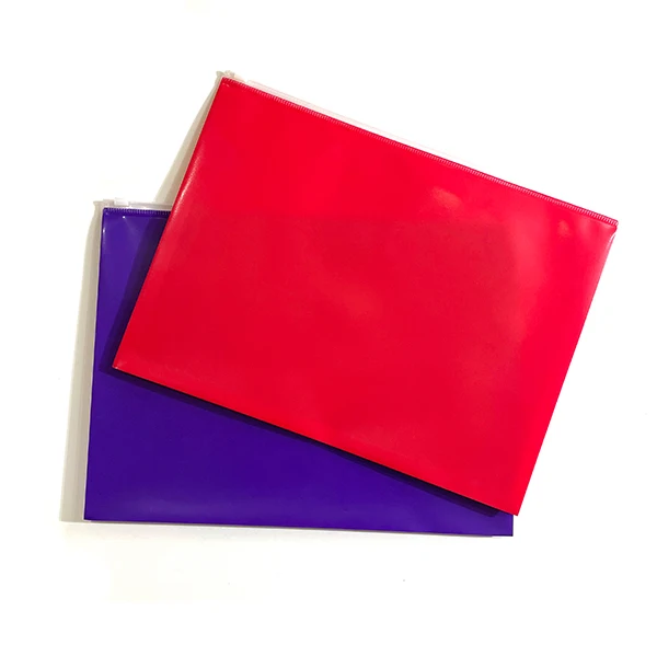 Custom A4 Size Transparent File Folder Pp Pocket Clear Binder File