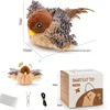 Chocolate sparrow
