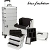 4 in 1 silver trolley case