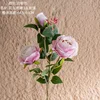 White pink