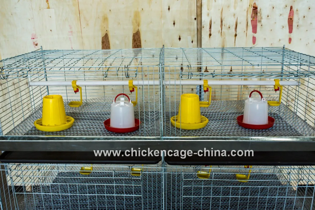 Stackable Brooder Cages Alibaba.com: H Type 45-day capacity, brooder and layer chick cage for ...