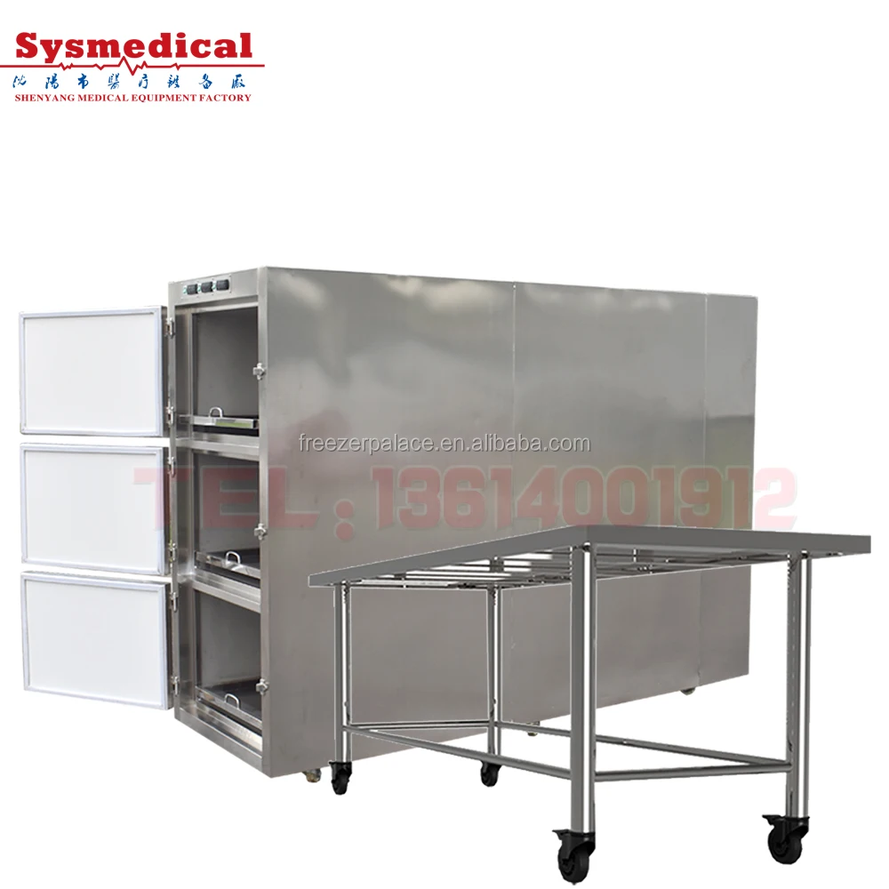 Mortuary Refrigerator Cadaver Refrigerator Caskets and Coffins Hospital Cadaver Refrigerating Chamber Corpses Freezer Price