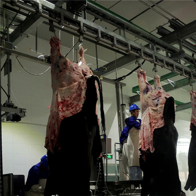 Donkey meat slaughterhouse processing and slaughtering machine