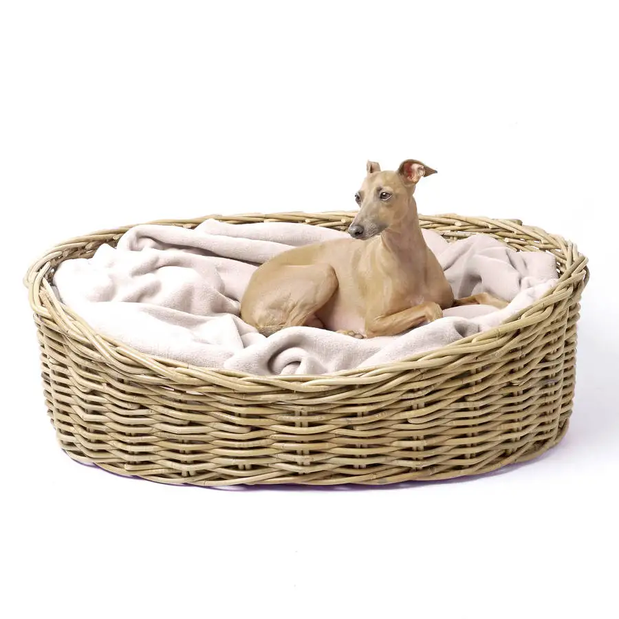 Rattan Pet Baskets For Dogs And Cats With Sleeping Bed Mat Buy Rattan Basket Dog Rattan Basket Cat Rattan Basket Dogs Product On Alibaba Com