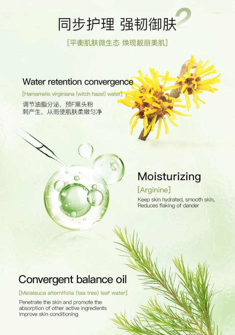 ICESEA Tea Tree Essential Oil Acne Serum Pore Shrinking Facial Oil Control Treatment for Oily Skin Liquid OEM Customizable Logo(pic5)