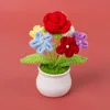 Myosotis sylvatica fleurs plantes en pot-Rose rouge