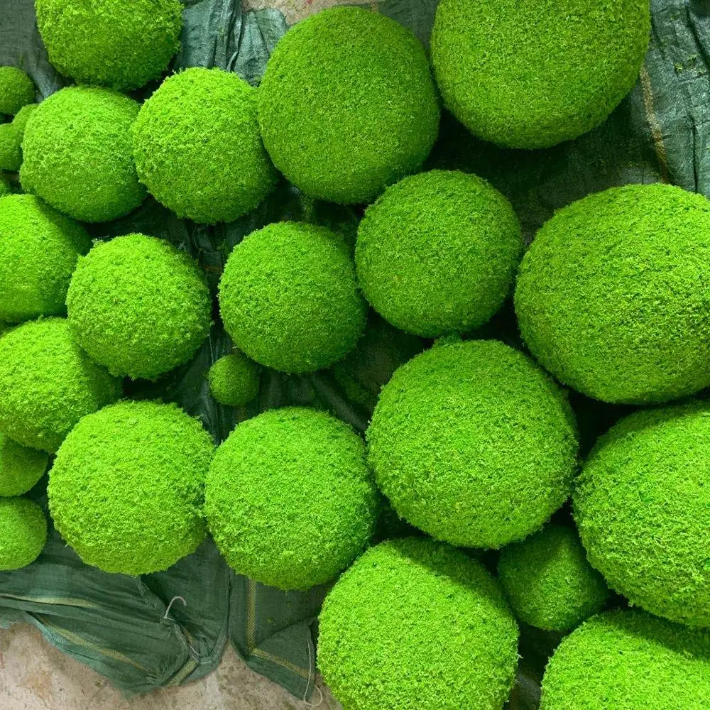 factory supply preserved green ball moss stabilized - buy