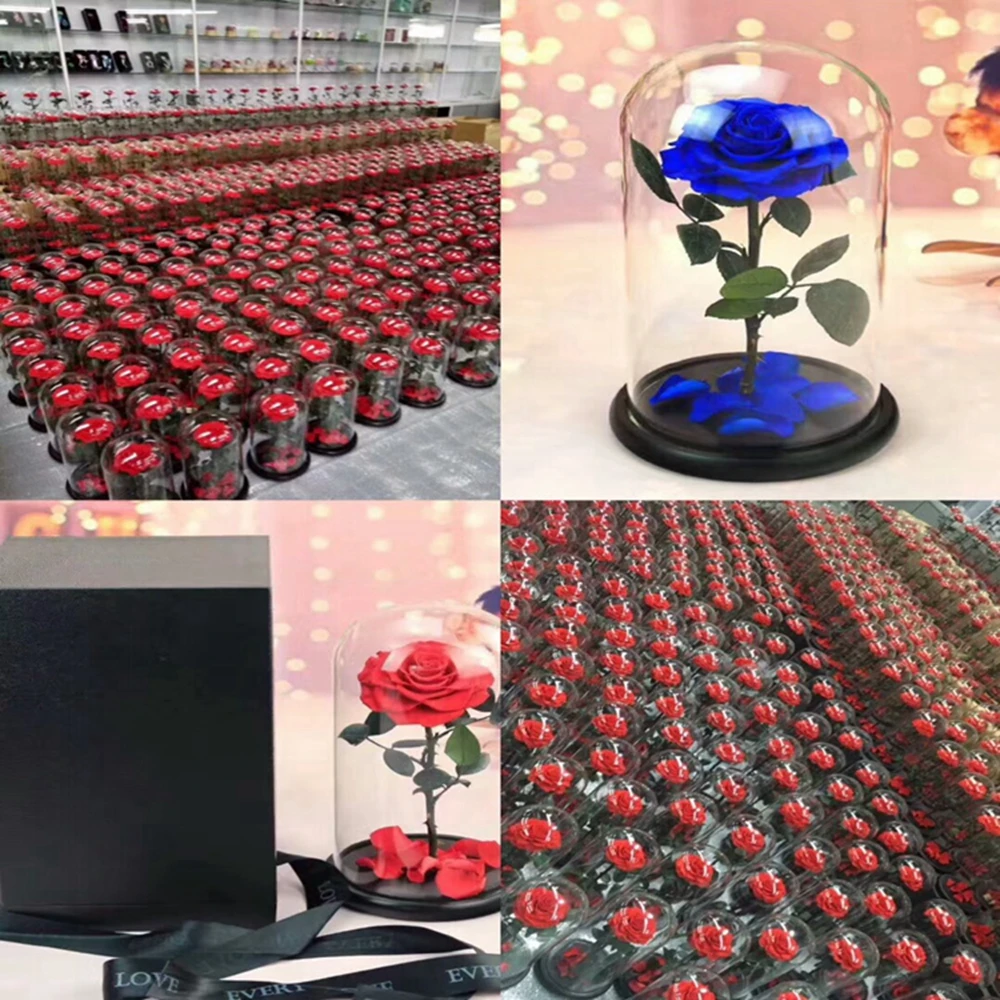 Beautiful A Grade Real Touch Preserved Rose Head 56 Cm Rose Bud 6