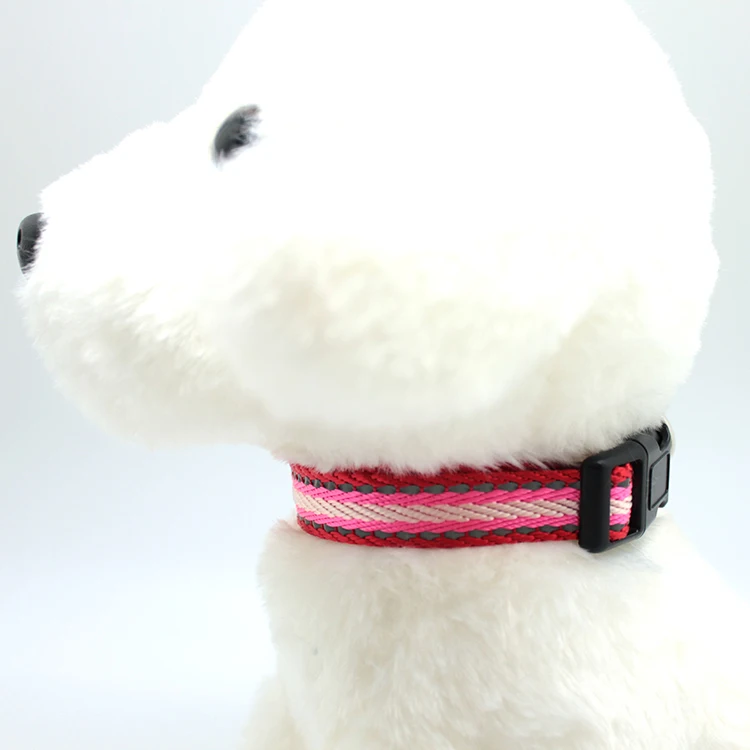 Fashionable stable colorful PP  dog leash and collar set for dog