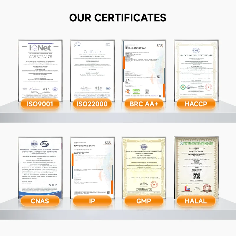 OEM /ODM Creatine Monohydrate Powder Creatine 500g Men Power Creatine Monohydrate Powder for Men Peach and Berry Flavor