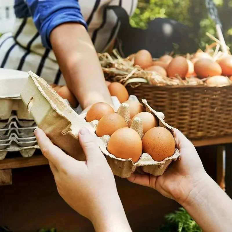 Environmentally Biodegradable Pulp Material 6/12/24/30 Cells Egg Holder Packaging Storage Containers Egg Tray for Home Kitchen