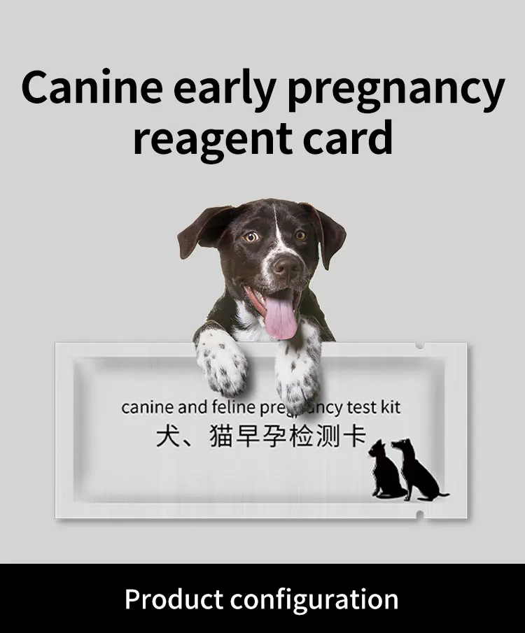 Ydv11 Canine And Feline Pregnancy Test Kit Canine Veterinary Early