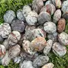 Mexican Agate