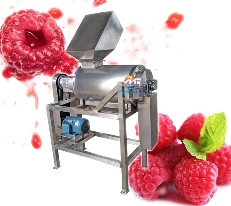 Stainless Steel Grape Deseeder And Peeler Machine Grape Pulp Making
