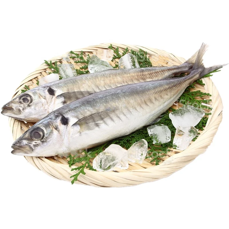 冷冻小眼马鲭鱼十指圆鳞鱼 Buy 竹荚鱼 小眼竹荚鱼 圆形scad Product On Alibaba Com