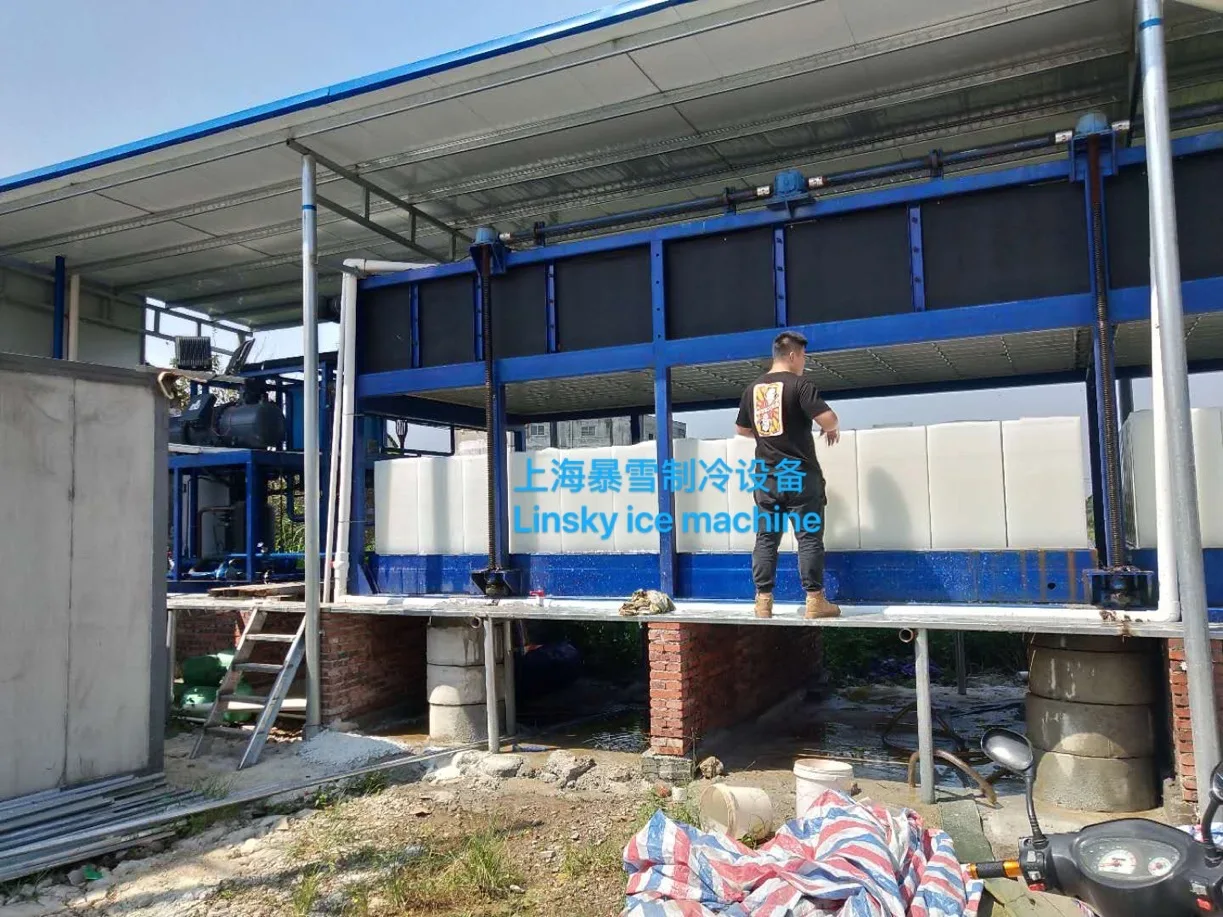 30Ton Automatic Direct Cooling Ice Block Machine