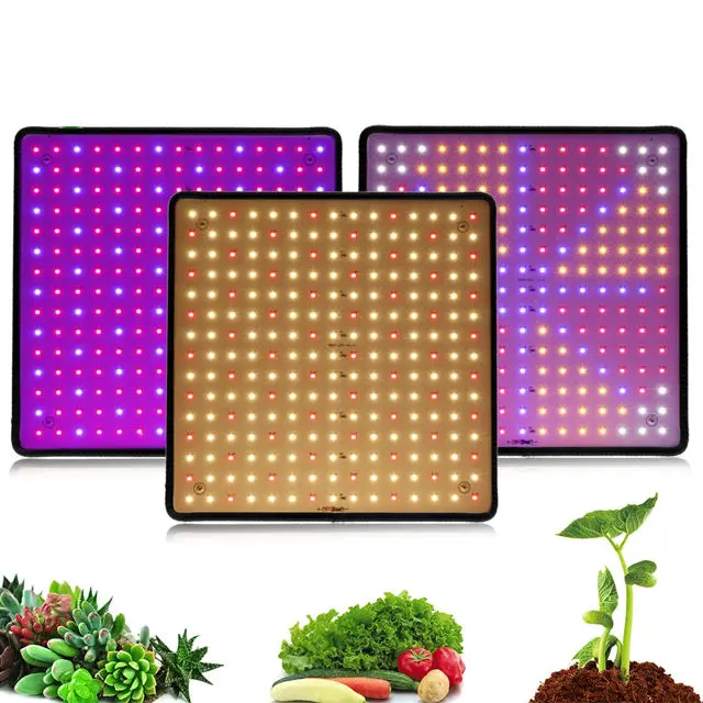 1000W LED Grow Light Panel - Full Spectrum Phyto Lamp