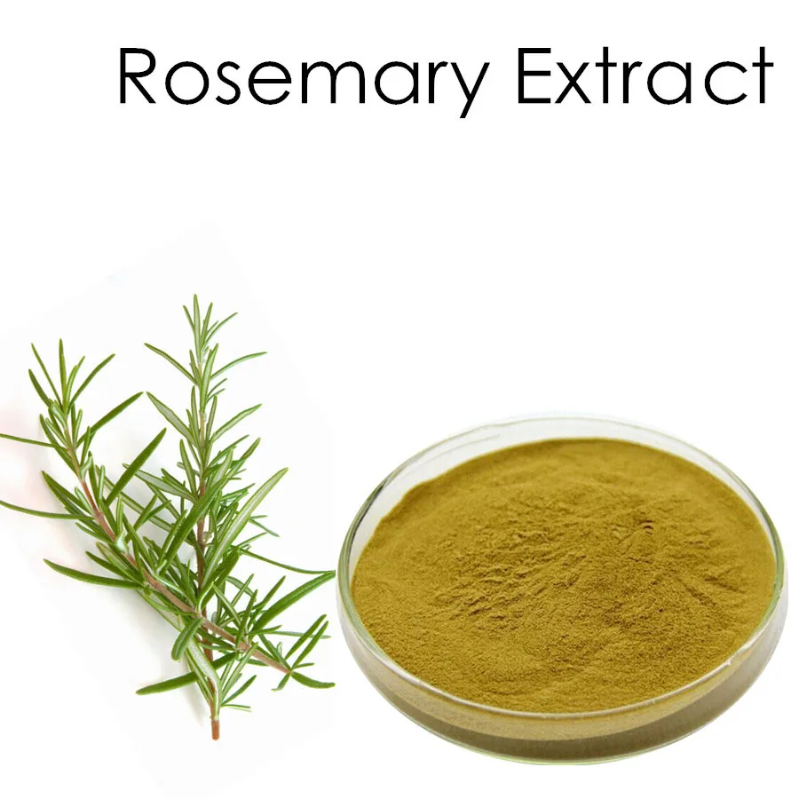 Natural Nettle Rosemary Extract Powder Rosemary Acid 595 Cas 20283