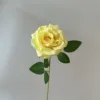 สีเหลือง