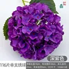 กลีบดอก 116 กลีบบนดอกไฮเดรนเยียดอกเดียว สีม่วงเข้ม
