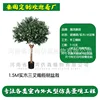 1.5m solid wood three-pronged olive tree bonsai (deposit link)