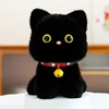 Chat noir