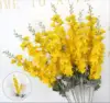 Yellow double-headed delphinium stem