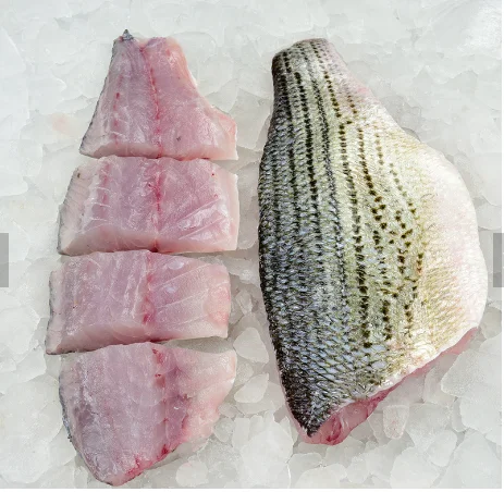 Frozen Sea Bass Fish Japanese Bass And Sea Bass Fillet Buy Frozen Breaded Fish Fillet Frozen Basa Fish Fillet Dory Fish Fillet Product On Alibaba Com