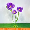 สีม่วง
