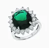 anillo