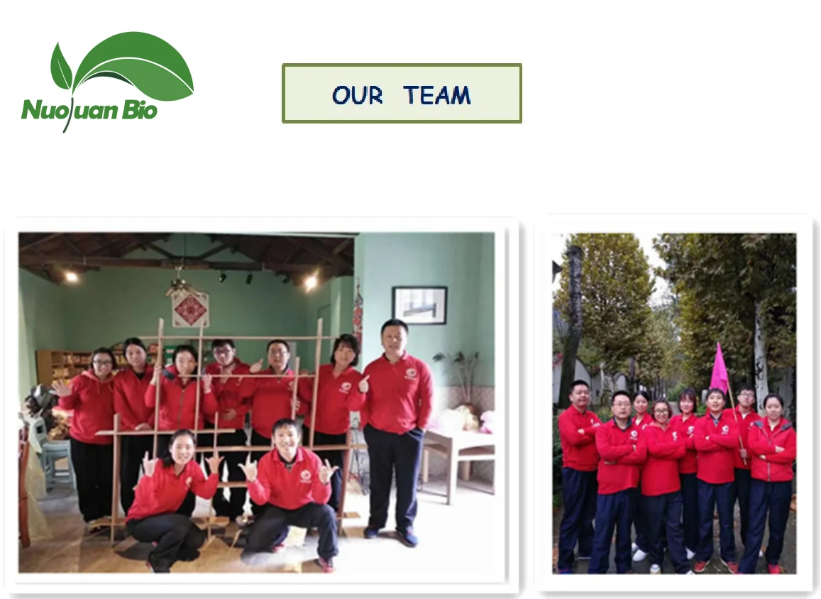 Nuoyuan High Quality  Hot Selling  Free Sample Voacanga Africana Roots Bark Powder with Best Price