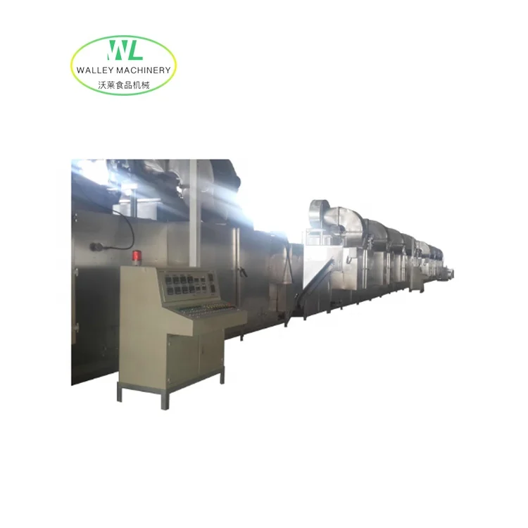 Customizing Continuous Single Layer Belt Dryer for Garlic and Onion