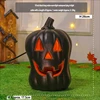 10-inch black long melon waterproof light wire