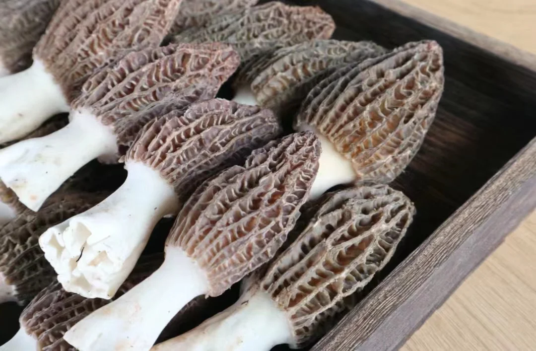 Haoyuan Roasted Morel Slices Mushroom Dried Black Morels,Mushrooms & Truffles Buy Slice