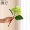 Verde hortensia con tacto suave.
