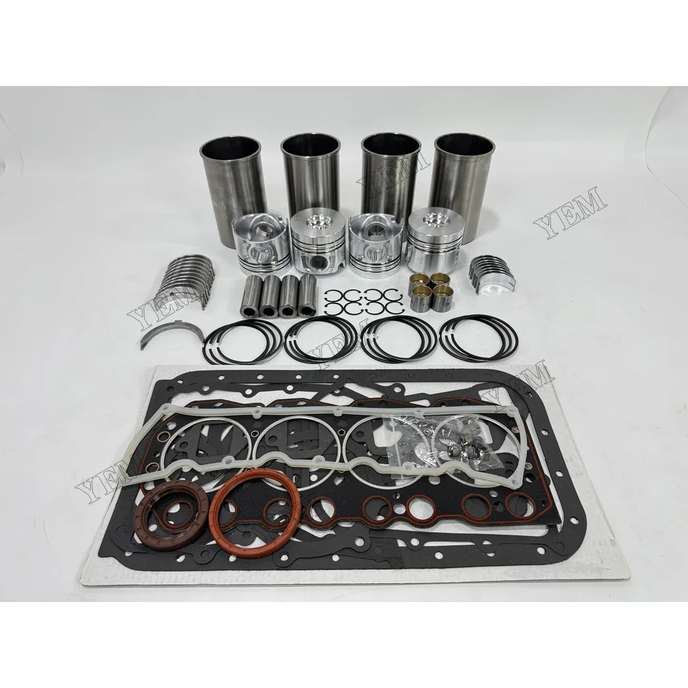 Overhaul Kit With Bearing Set for Deutz CA498-12 Engine Parts Manufacturer 4