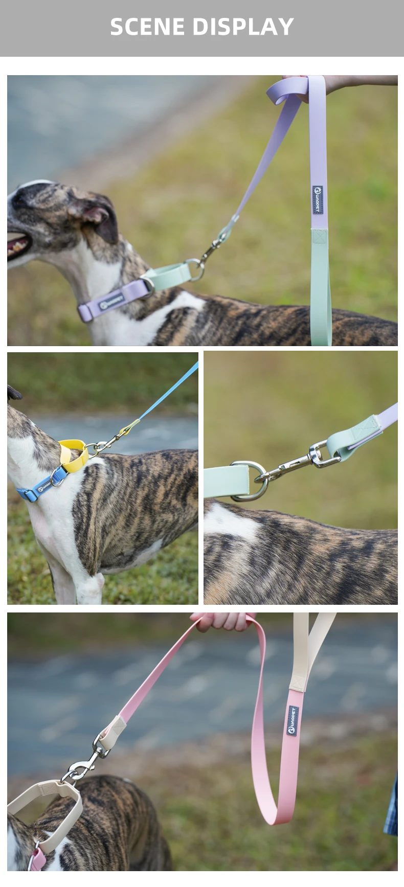 Customize Dogs Leashes Matching Collar Size/id/logo Pvc Dog Collar With