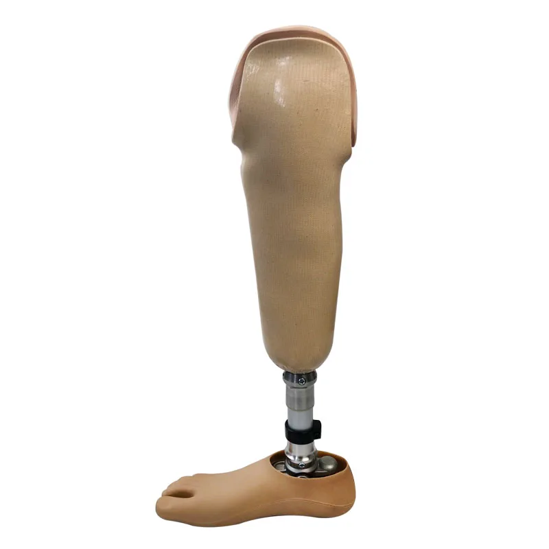 Prosthetic Leg Artificial Limbs Prosthetic Implants Bk Leg Prosthetic ...