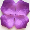 N. 10 sfumatura viola