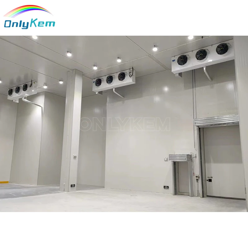 Logistics Warehouse 1000m2 Cold Room for Vegetables, Walk in Freezer Cold Room With Sectional Door
