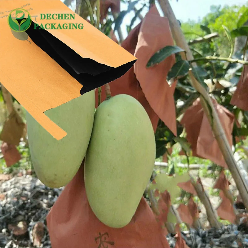 Mango Protection Bag Price In India Bagging Fruit