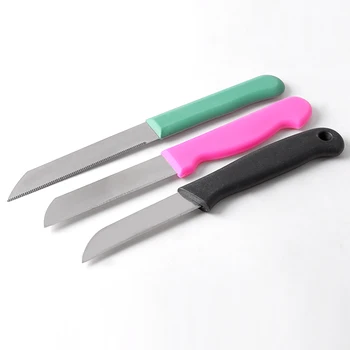 12PCS Stainless Steel single color Handle Fruit Knife Set paring Knives peeling Knives set vegetable cutter for home use