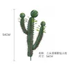 Cactus de tres cabezas